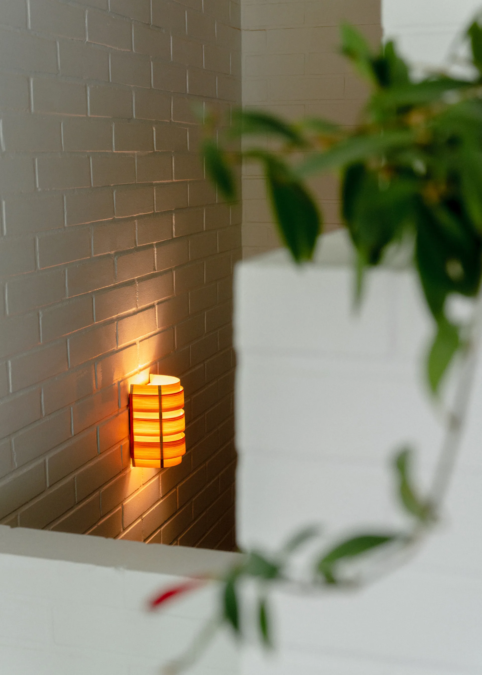 1004 Hans Wall Light, Mat olievokset fyrretræ, 16x24 cm Vaarnii