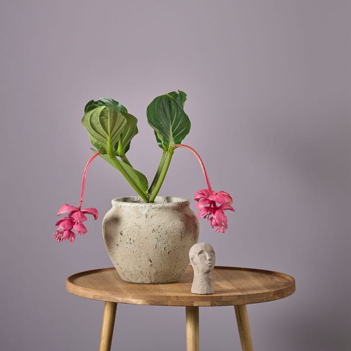 Loev krukke, Grå, medium Ø30.5 cm Villa Collection