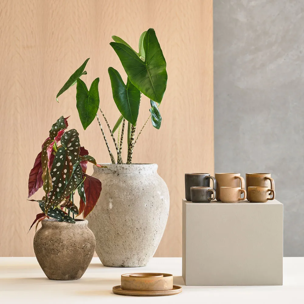 Loev krukke, Grå, medium Ø30.5 cm Villa Collection
