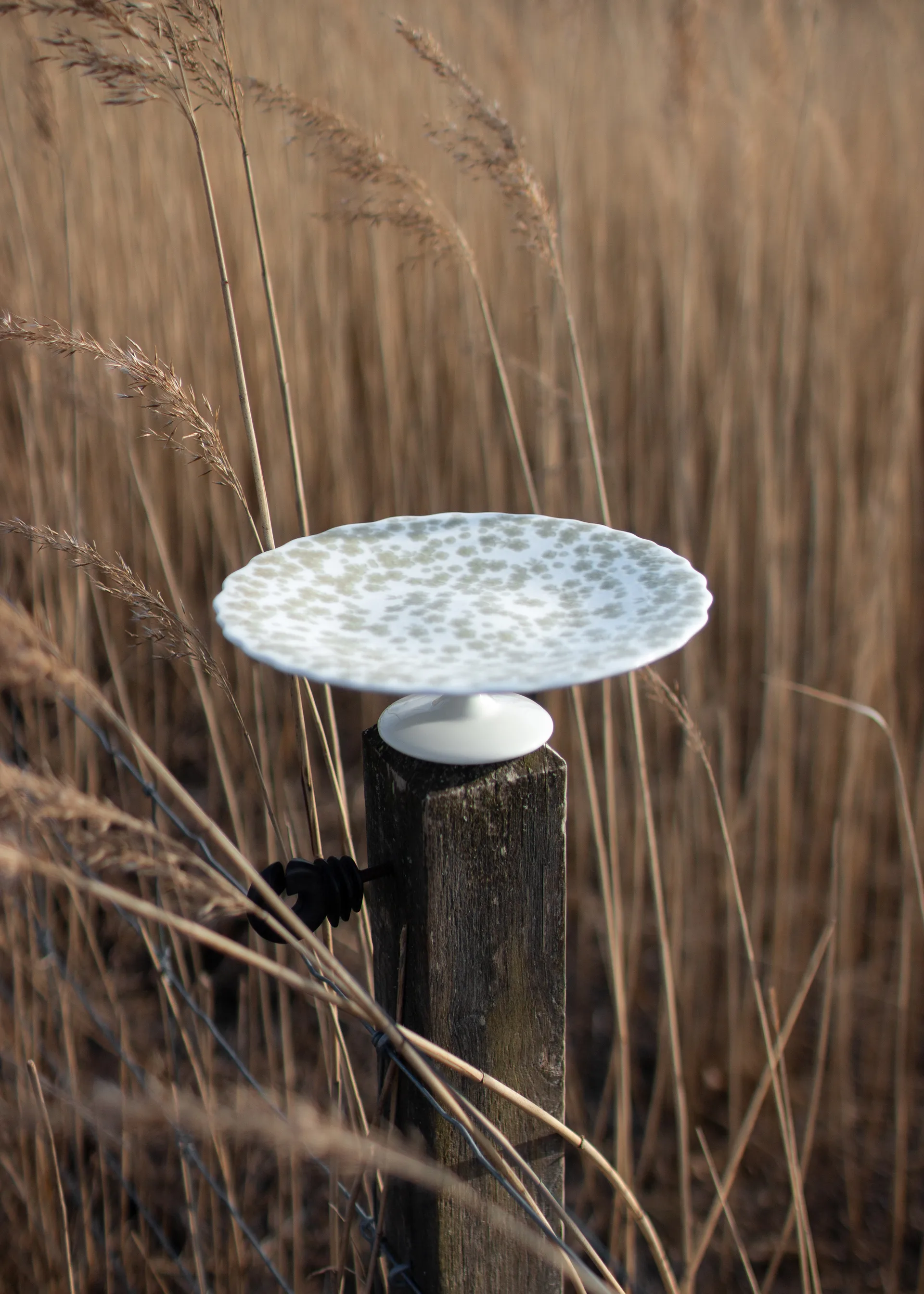 Slåpeblom kagefad Ø21 cm, Grøn Wik & Walsøe