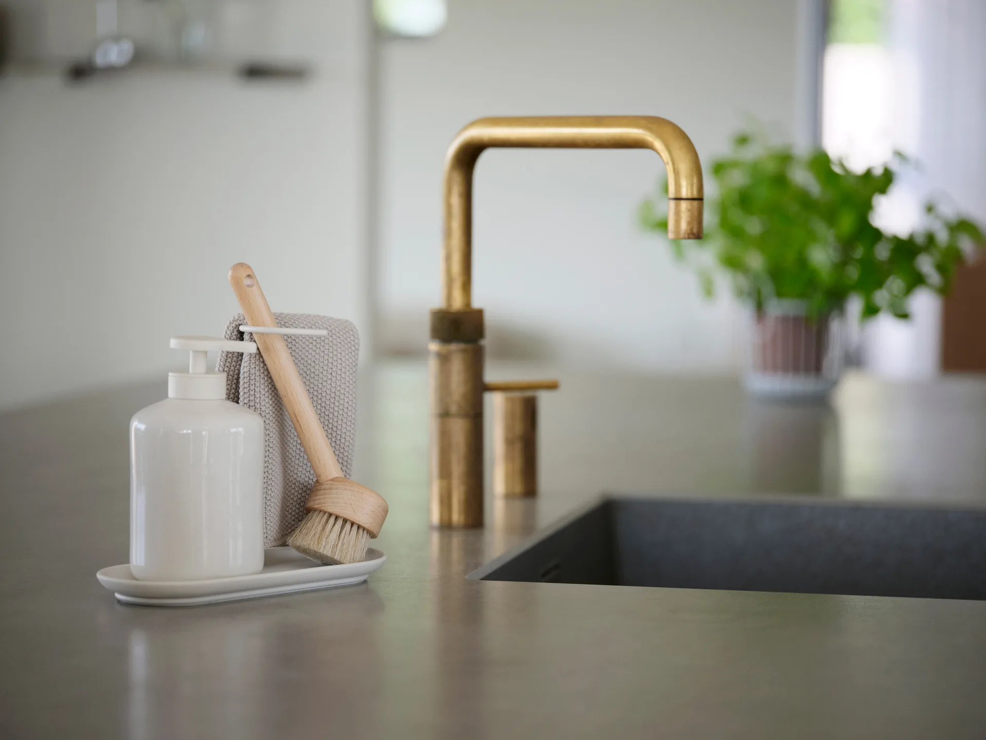 Inu opvaskebørste, Bøg Zone Denmark