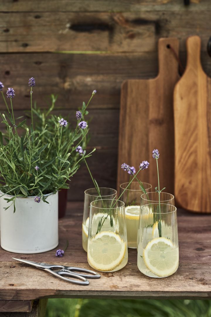 Enkle sommerdrinks som du skal prøve denne sommer - en klassisk lemonade med tonic i et glas fra Georg Jensen.