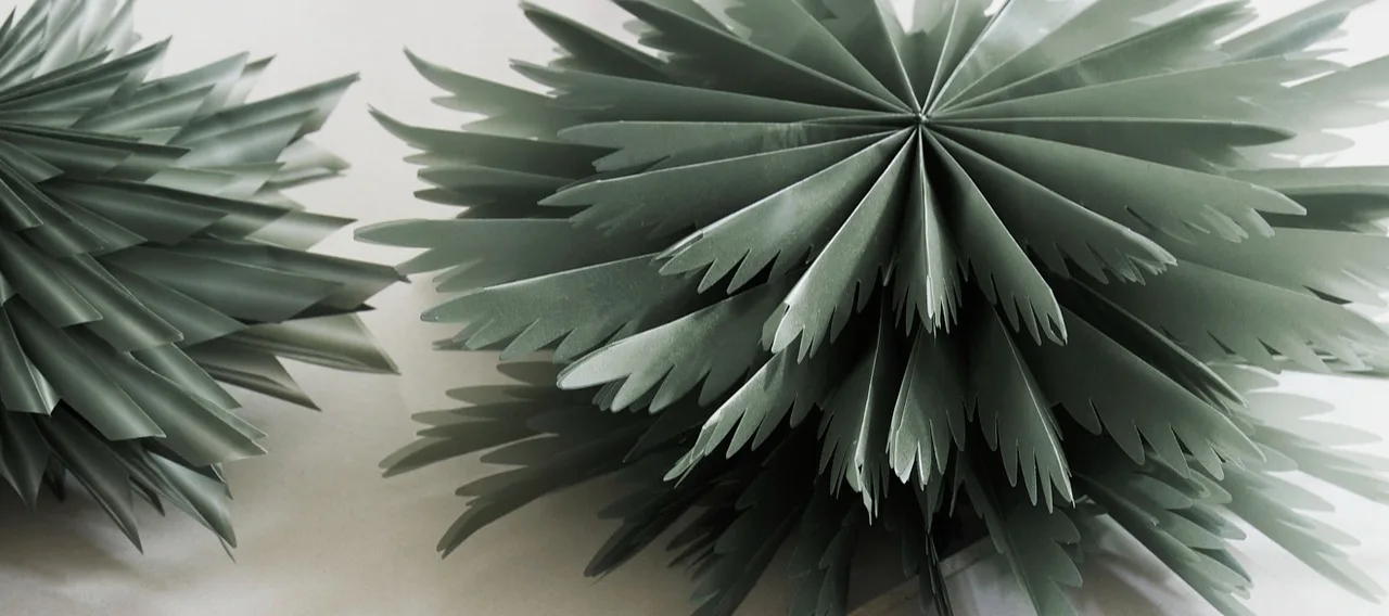 Her ses en nykommer blandt julestjernerne, de rød- og hvidmønstrede stjerner fra Bare-kollektionen fra Scandi Living, som hænger på en dør.