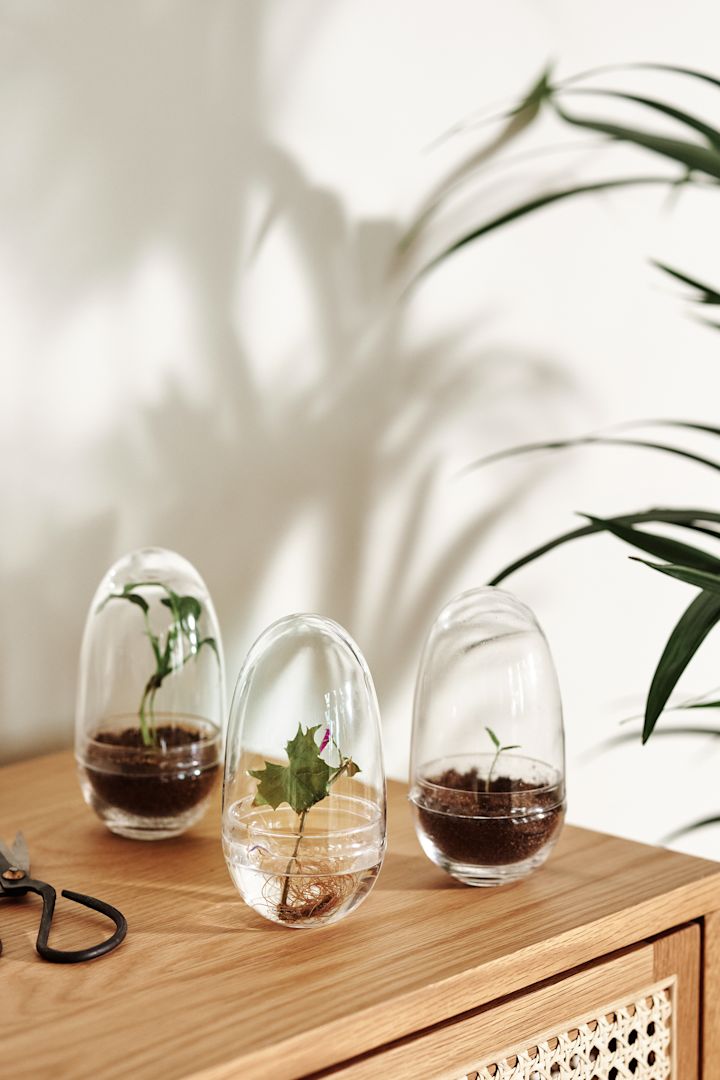 Her kan du se en kollektion af Grow drivhusene fra Design House Stockholm i small.