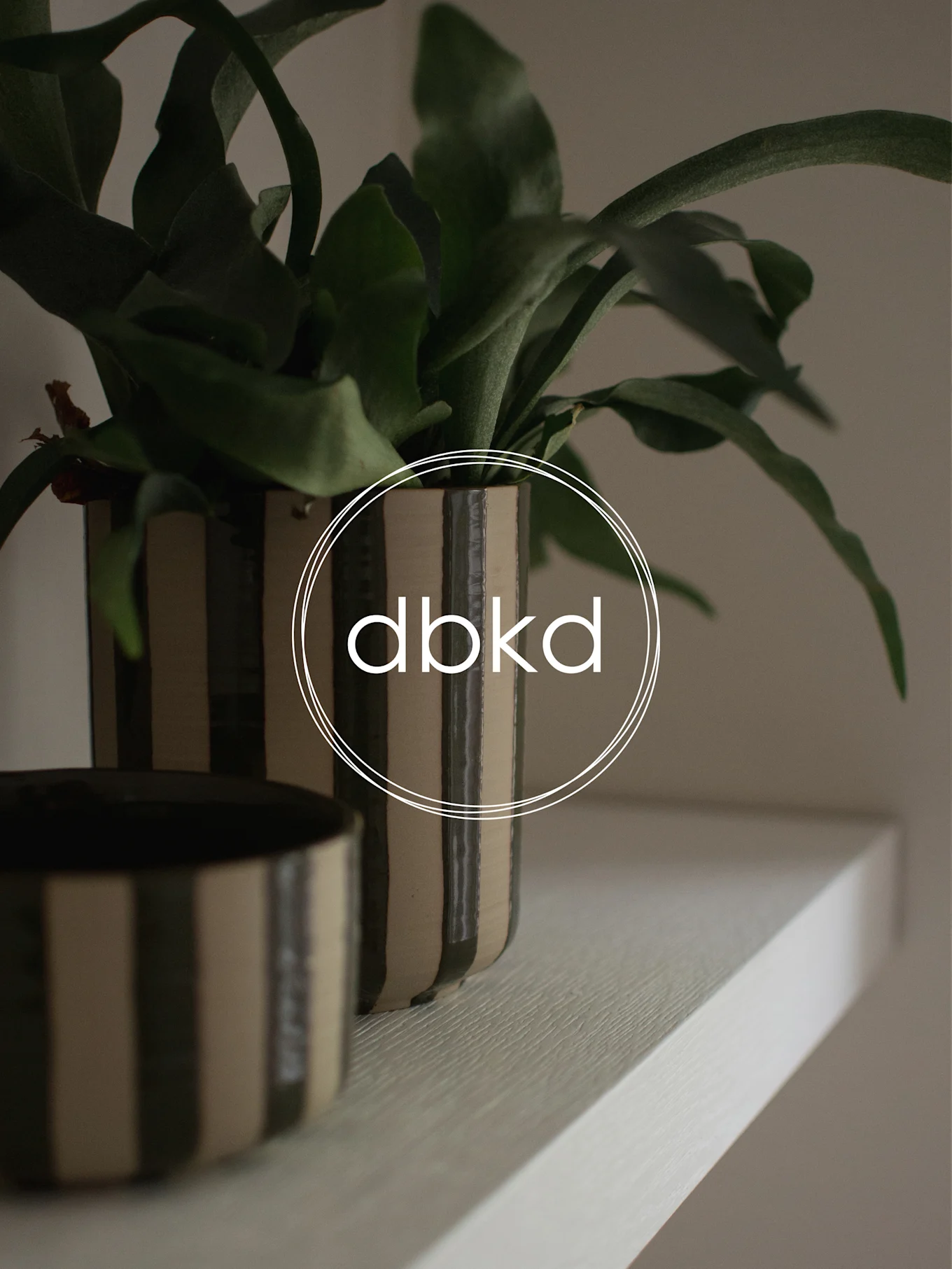 To keramiske potter med mørke og lyse striber, en med en grøn plante, på en hvid hylde.