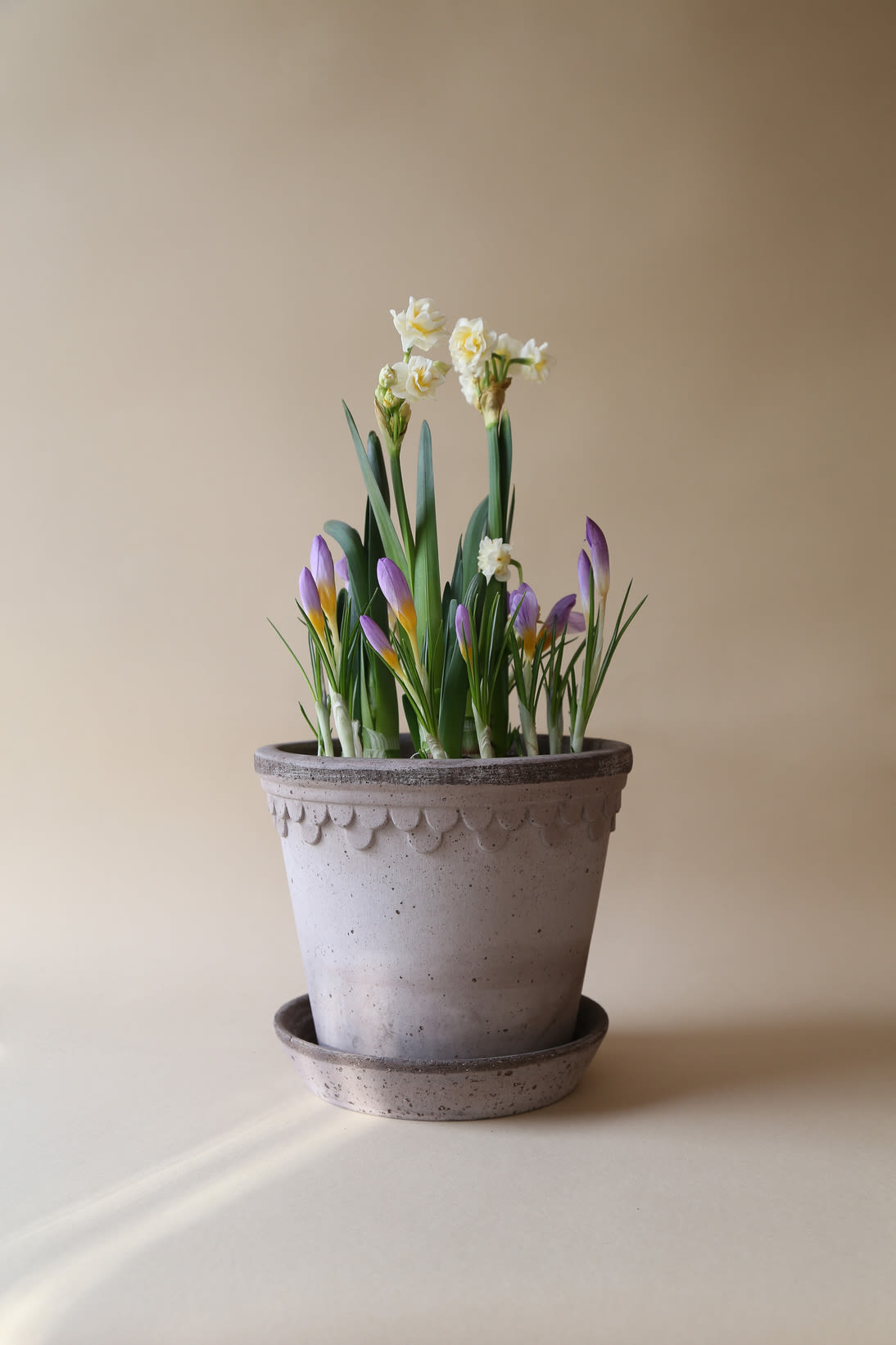 I stedet for en buket kan du give en plante i mors dags gave, som denne liljekonval i en grå potte fra Bergs Potters Københavner-kollektion.