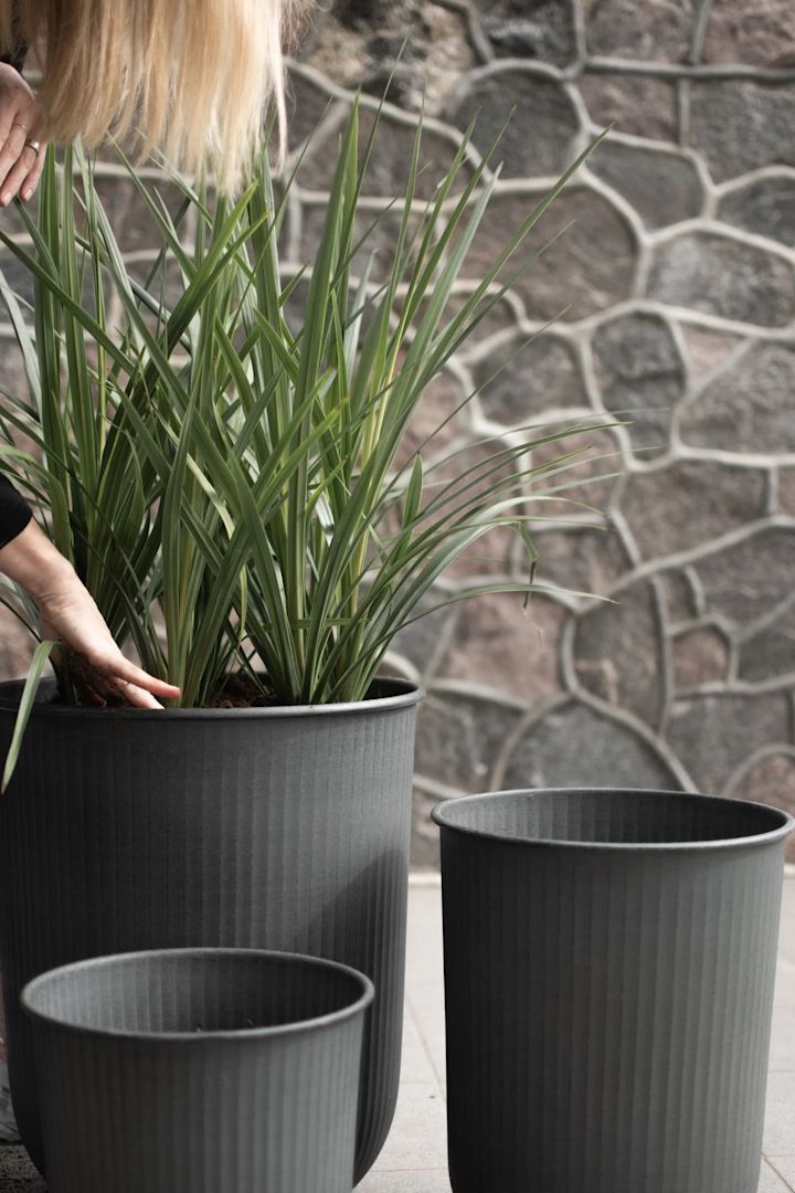 Udendørs blomsterkrukker: Her ses tre mørke, store udendørskrukker i metal fra DBKD's Out-kollektion, hvoraf den ene er plantet med højt græs.