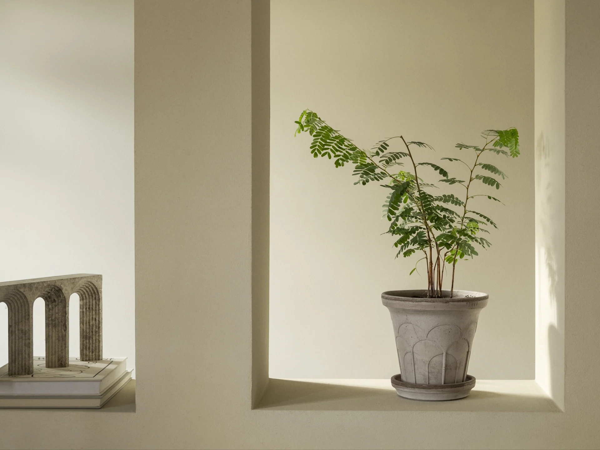 Et minimalistisk interiør med en grøn plante i en mønstret grå potte i en vægniche, ved siden af en skulpturel bue på bøger.