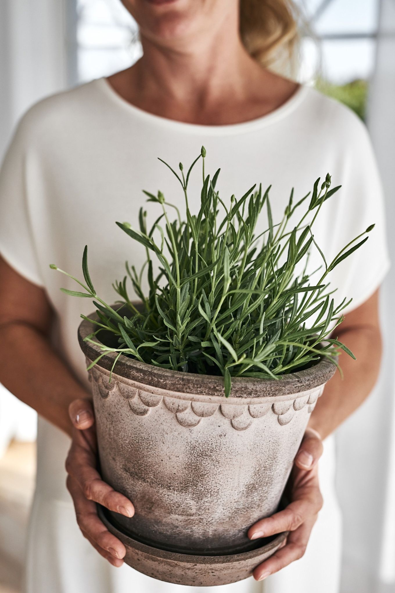 Udendørs blomsterkrukker: Her ses Københavner blomsterkrukken beplantet med lavendel fra Bergs Potter.