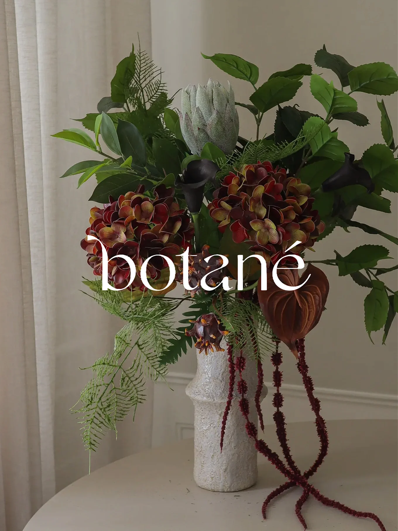 Et blomsterarrangement med røde hortensiaer, en protea og sorte kallaer i en hvid vase, med 'botané' overlejret.