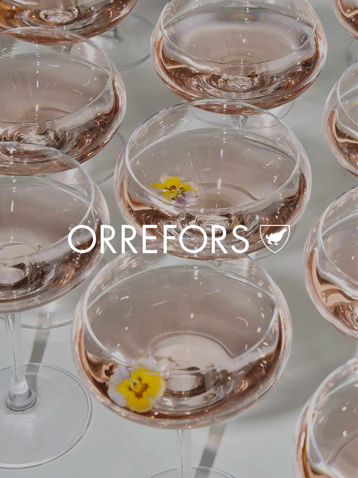 Klare glasglas med lyserød væske og gule stedmødre. 'ORREFORS'-tekst og logo overlejret.