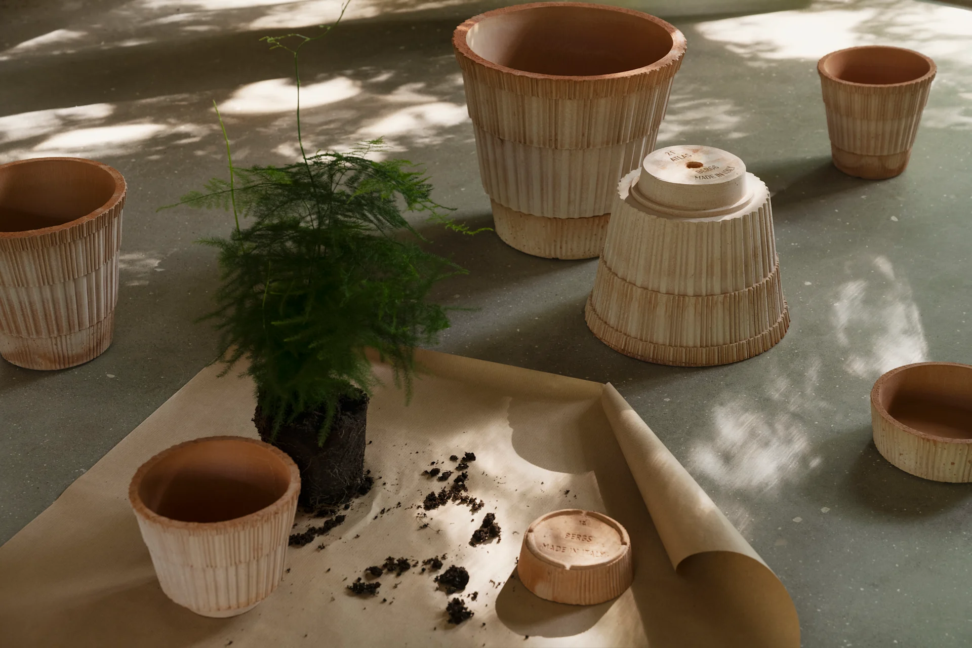 Plante omplantes med flere rillede terracotta potter og underskåle på brunt papir.