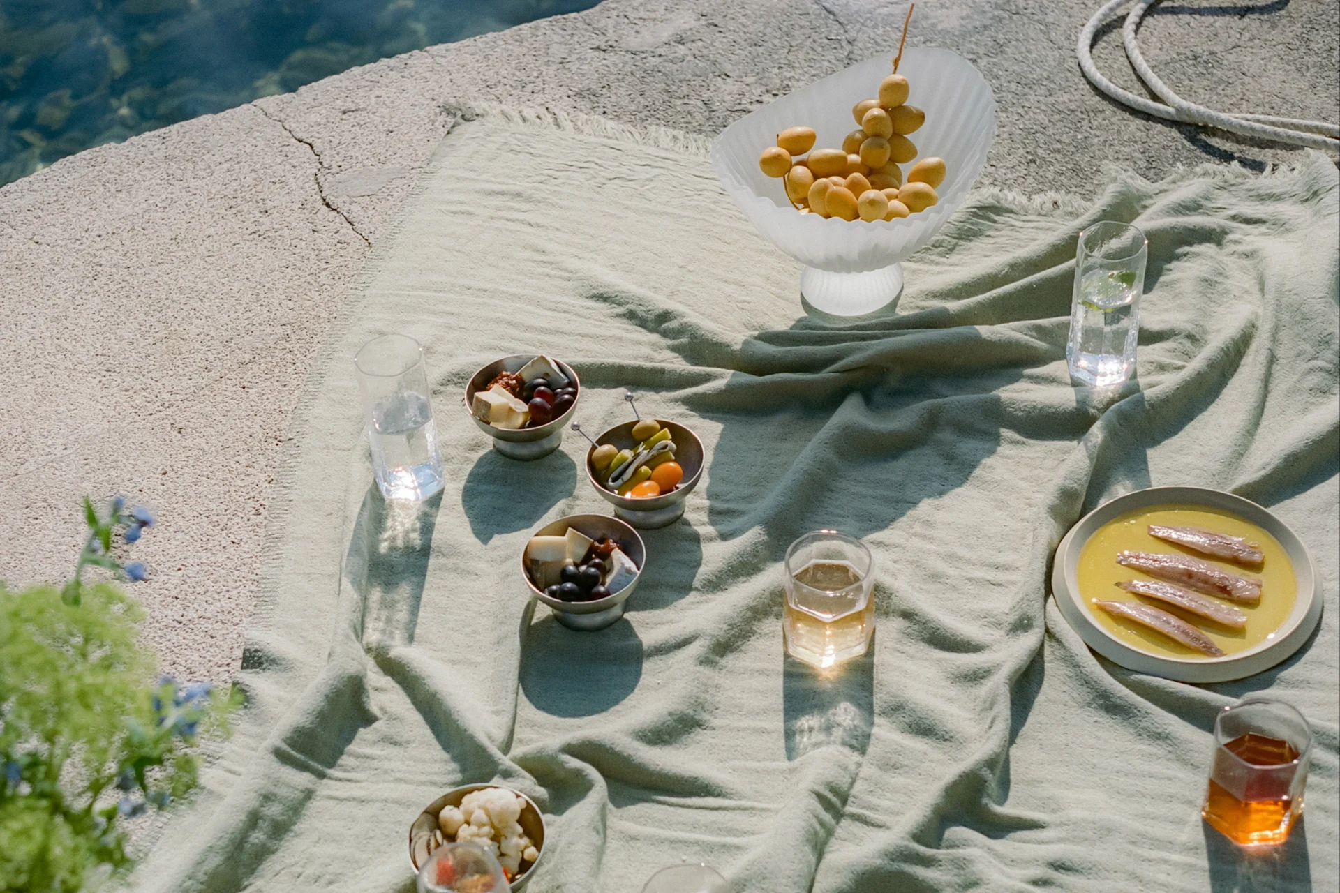 Picnic ved vandet med dadler, ost, oliven, ansjoser og drikkevarer på et grønt tæppe.