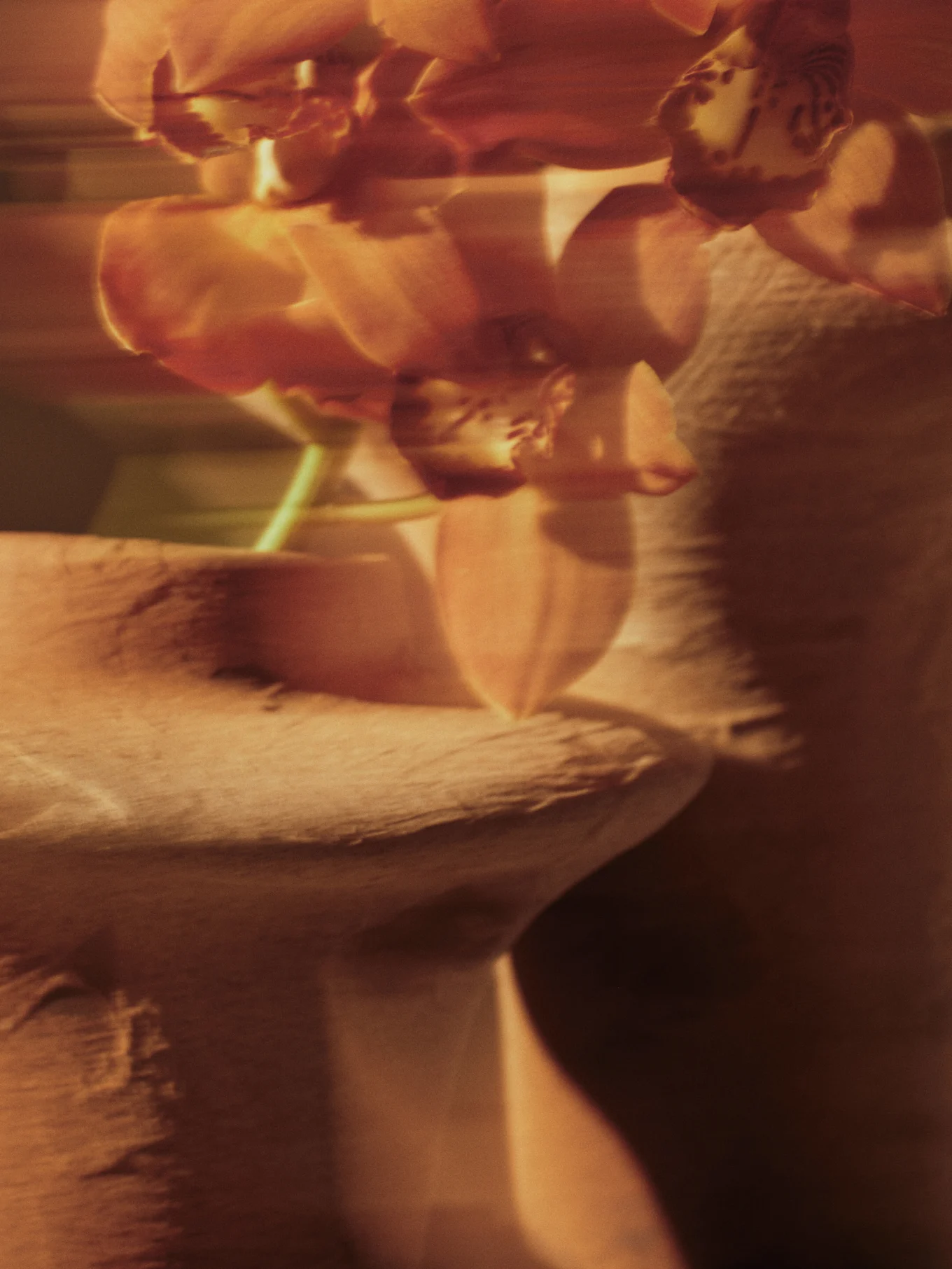 Sløret billede af orangerøde orkideer med blød fokus mod en tekstureret baggrund.