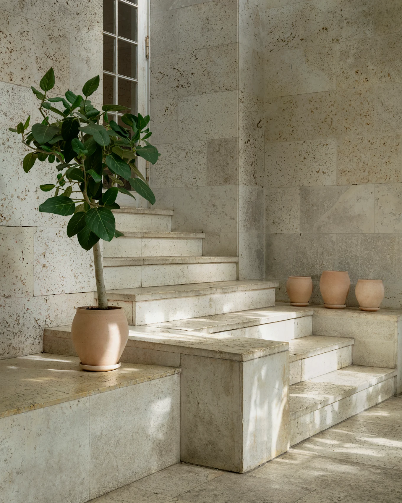 Stenstrappe med en potteplante i en terracotta-potte og tre mindre terracotta-potter på et trin, alt badet i sollys.