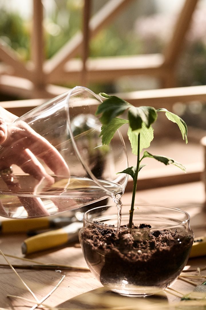 Grow krukken i medium fra Design House Stockholm hvor at låget også kan bruges som en vandkande!