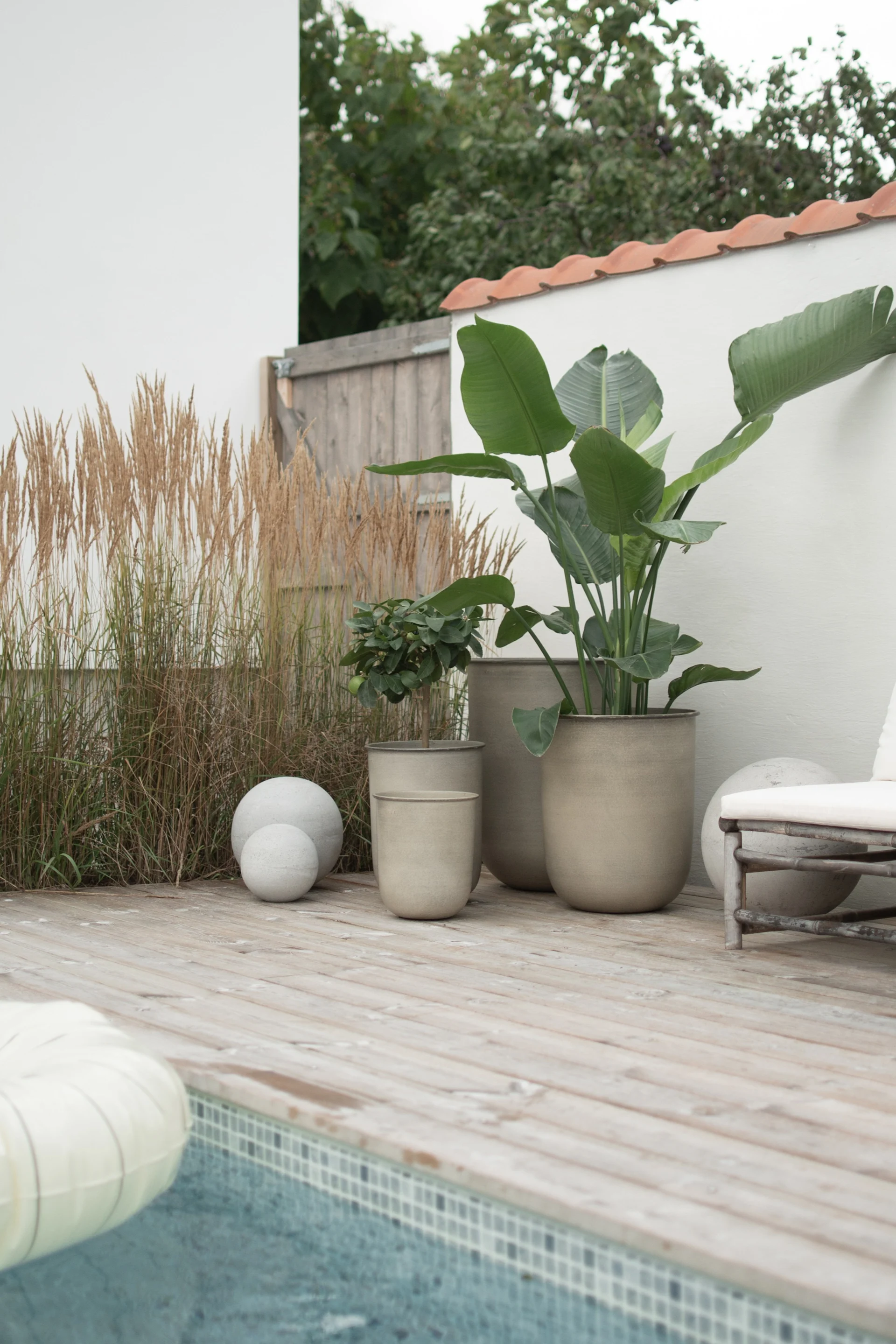 Udendørs træterrasse ved pool med store potteplanter, højt græs, dekorative betonkugler og en hvid liggestol.